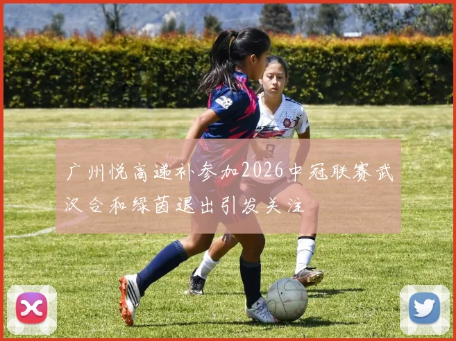 广州悦高递补参加2026中冠联赛武汉合和绿茵退出引发关注